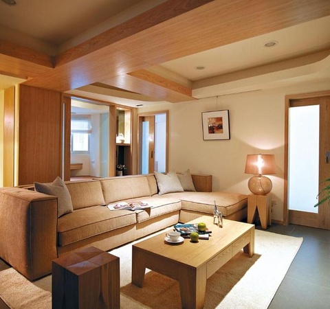 家居风水放什么最旺财