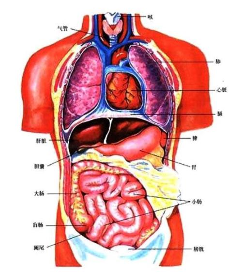 容易引起心脏病的风水方位